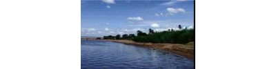 15. திருச்சேறை